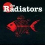 RADIATORS