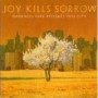 JOY KILLS SORROW
