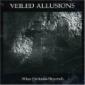 VEILED ALLUSIONS