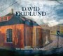 FRIDLUND DAVID FRIDLUND DAVID