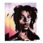MI AMI