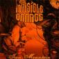 INVISIBLE ORANGE