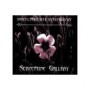 SWITCHBLADE SYMPHONY