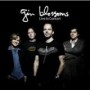 GIN BLOSSOMS