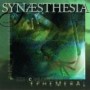 SYNAESTHESIA SYNAESTHESIA