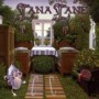 LANA LANE LANA LANE