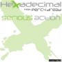 HEXADECIMAL