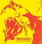SARSPARILLA
