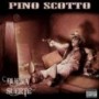 SCOTTO PINO