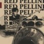 PELLINI RED PELLINI RED