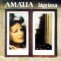RODRIGUES AMALIA