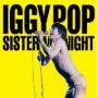 POP IGGY POP IGGY
