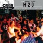 H2O H2O