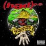 HED PE