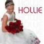 STEEL HOLLIE