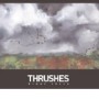 THRUSHES