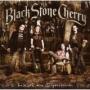 BLACK STONE CHERRY