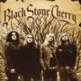 BLACK STONE CHERRY