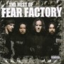 FEAR FACTORY