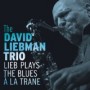 LIEBMAN DAVID LIEBMAN DAVID