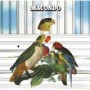 MACONDO MACONDO