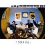 IGUANA