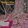ALEPPO PINE ALEPPO PINE