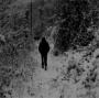 NOCTURNAL DEPRESSION NOCTURNAL DEPRESSION
