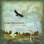 NEMEROV BRUCE NEMEROV BRUCE