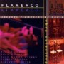 JOVENES FLAMENCOS