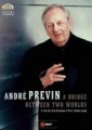 PREVIN ANDRE