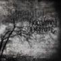 NOCTURNAL DEGRADE NOCTURNAL DEGRADE