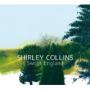 COLLINS SHIRLEY