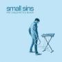 SMALL SINS
