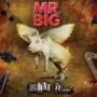 MR.BIG MR.BIG