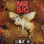 MR.BIG MR.BIG