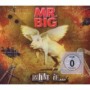 MR. BIG MR. BIG