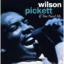 PICKETT WILSON PICKETT WILSON
