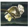 SHEARWATER
