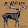 HEADWATER