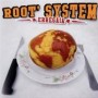 ROOTS SYSTEM