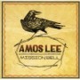 LEE AMOS
