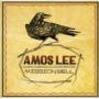 LEE AMOS