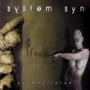 SYSTEM SYN