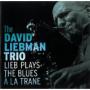 LIEBMAN DAVID LIEBMAN DAVID