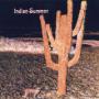 INDIAN SUMMER