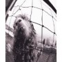 PEARL JAM PEARL JAM