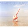 STRANDED HORSE