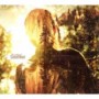 SEEFEEL