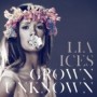 ICES LIA